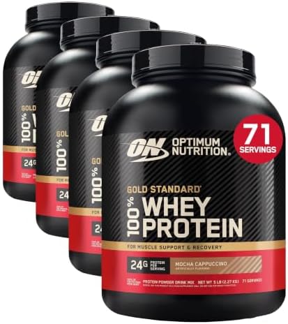 Optimum Nutrition Gold Standard Whey Protein, Double Rich Chocolate, 2 LB