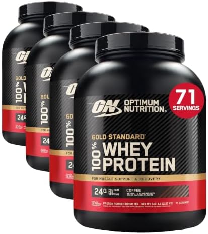 Optimum Nutrition Gold Standard Whey Protein, Double Rich Chocolate, 2 LB